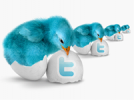 Twitter ищет деньги и пользователей накануне IPO