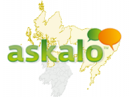 Стартап "askalo" — спросите у местных