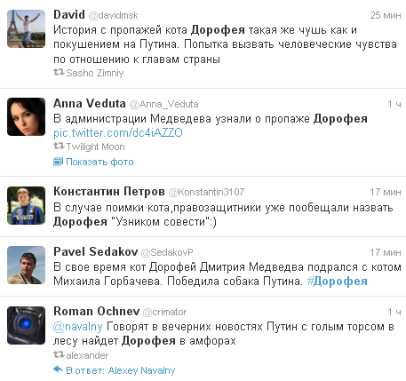 Дорофей - сбежавший кот Медведева, попал в мировые тренды Twitter   