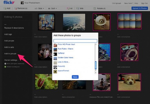 Flickr добавил новые возможности для групп