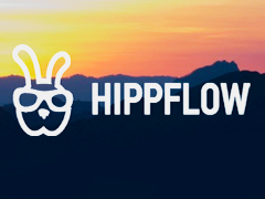 Hippflow — информирование инвесторов о состоянии дел в стартапах