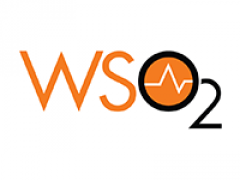 WSO2, провайдер корпоративного кроссплатформенного ПО, привлёк $10 млн.