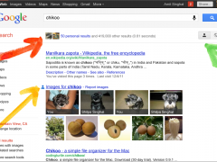 «Ваш мир» в Google начинает социализировать поисковые запросы