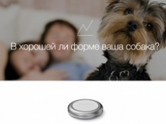 Spotty – технологическая новинка для собак от российских разработчиков