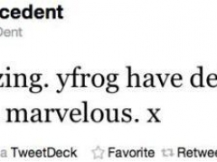 YFrog удалил аккаунт Грейс Дент – знаменитого британского микроблоггера
